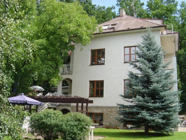 Hotel Villa Conti 피세크 외부 사진